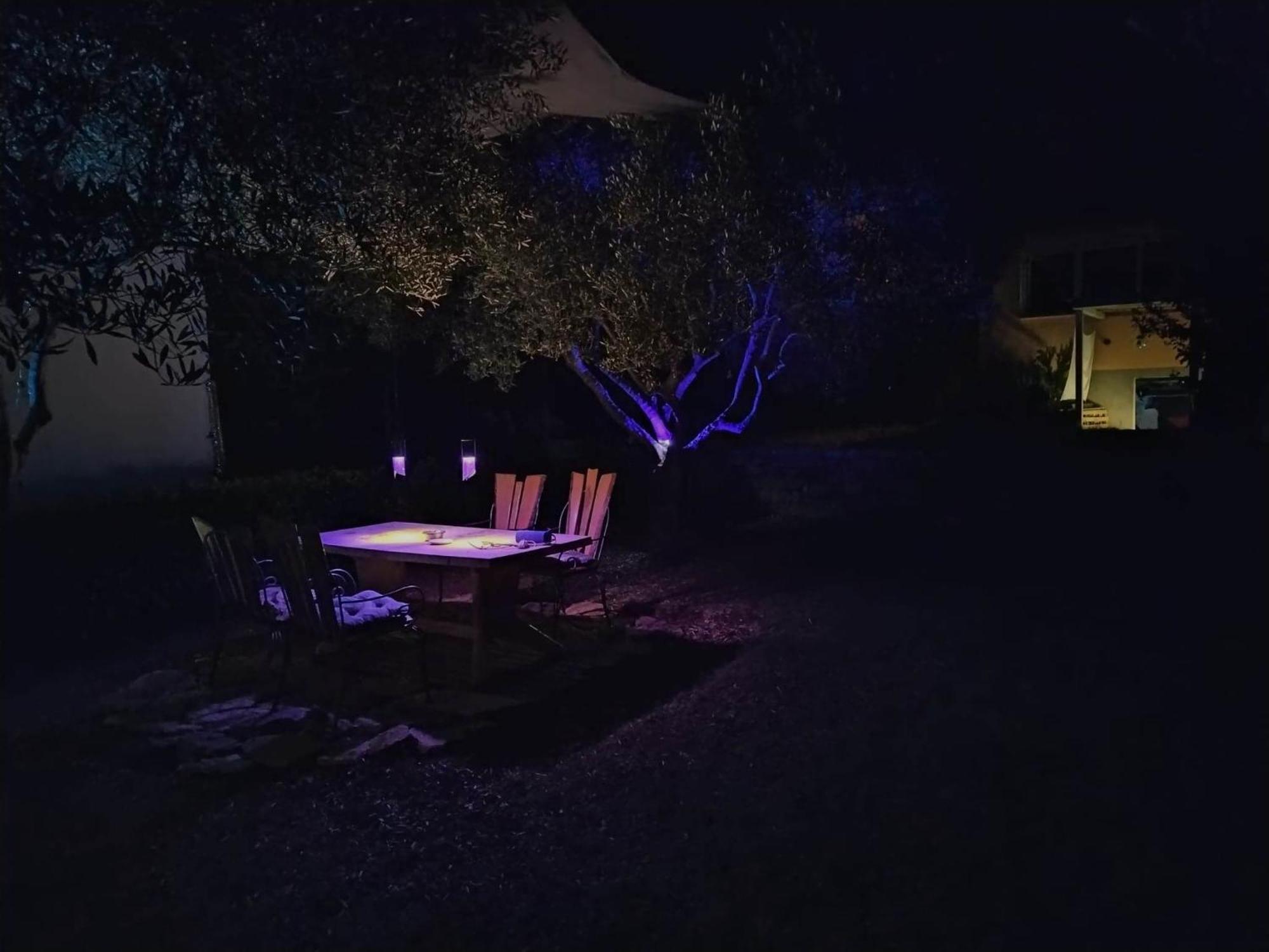 Oliver Art Apartment Poreč Exteriér fotografie